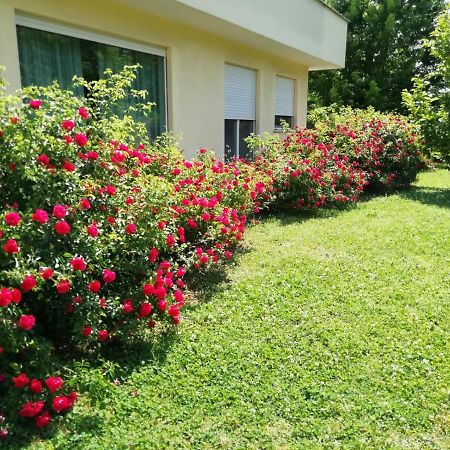 B&B Terra Del Sole Valmontone Exterior foto