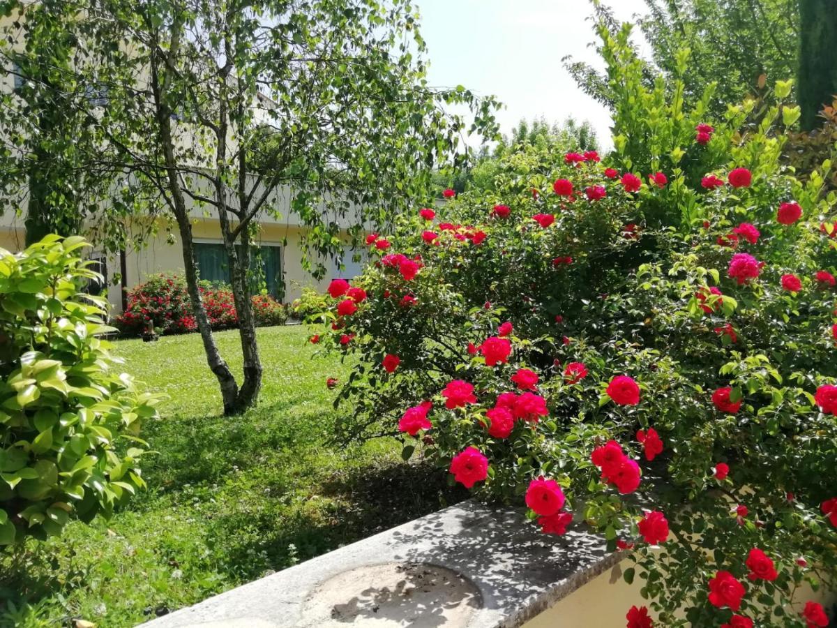 B&B Terra Del Sole Valmontone Exterior foto